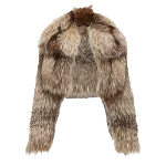 Brown Fur Fendi Jacket