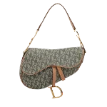 Green Canvas Dior Saddle Bag