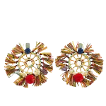 Multicolor Plastic Dolce & Gabbana Earrings