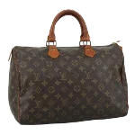 Brown Canvas Louis Vuitton Speedy