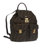 Brown Canvas Fendi Backpack