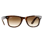 Brown Acetate Ray-Ban Sunglasses