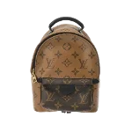 Brown Canvas Louis Vuitton Palm Springs