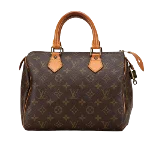 Brown Canvas Louis Vuitton Speedy