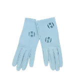 Blue Leather Hermès Gloves