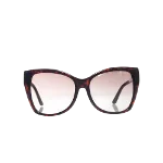 Brown Plastic Tom Ford Sunglasses