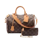 Brown Leather Louis Vuitton Speedy