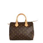 Brown Canvas Louis Vuitton Speedy