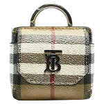 Multicolor Fabric Burberry Case