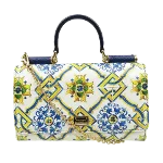 Multicolor Leather Dolce & Gabbana Handbag