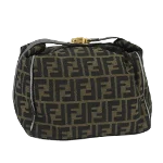 Brown Canvas Fendi Vanity Bag