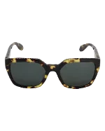 Brown Acetate Alexander McQueen Sunglasses