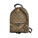 Brown Canvas Louis Vuitton Palm Springs