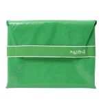 Green Plastic Bottega Veneta Clutch