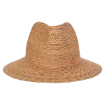 Brown Raffia Maison Michel Hat