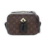 Brown Leather Louis Vuitton Saintonge