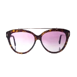 Brown Plastic Tom Ford Sunglasses