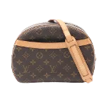 Brown Leather Louis Vuitton Blois