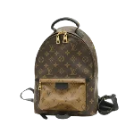 Brown Canvas Louis Vuitton Palm Springs