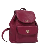 Purple Leather Coach Backpack