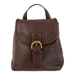 Brown Leather Coach Backpack