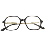 Brown Stainless Steel Jimmy Choo Glasses