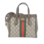 Brown Canvas Gucci Ophidia