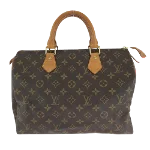 Brown Canvas Louis Vuitton Speedy