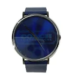 Blue Stainless Steel Coach Watch