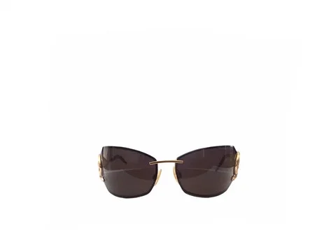 Brown Acetate Roberto Cavalli Sunglasses