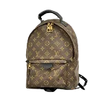 Brown Canvas Louis Vuitton Palm Springs