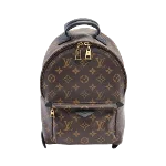 Brown Canvas Louis Vuitton Palm Springs