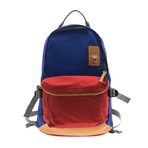 Multicolor Fabric Loewe Backpack