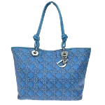 Blue Canvas Dior Lady Dior