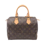 Brown Canvas Louis Vuitton Speedy