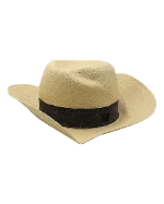 Beige Raffia Maison Michel Hat