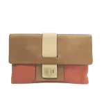 Multicolor Leather Anya Hindmarch Clutch