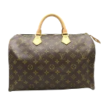 Brown Canvas Louis Vuitton Speedy