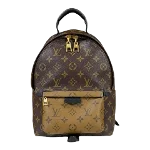 Brown Canvas Louis Vuitton Palm Springs