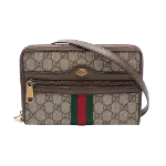 Multicolor Canvas Gucci Ophidia