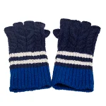 Blue Cashmere Burberry Gloves