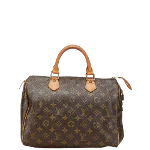 Brown Canvas Louis Vuitton Speedy