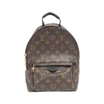 Brown Canvas Louis Vuitton Palm Springs