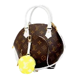 Brown Canvas Louis Vuitton Ellipse