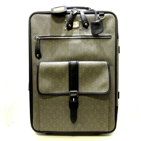 Grey Plastic Loewe Travel Bag