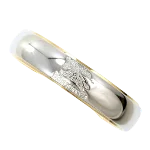 Silver Metal Burberry Ring