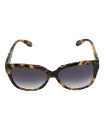 Brown Acetate Alexander McQueen Sunglasses