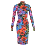 Multicolor Polyester Dolce & Gabbana Dress