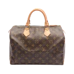 Brown Canvas Louis Vuitton Speedy