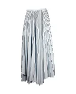 Blue Fabric Proenza Schouler Skirt